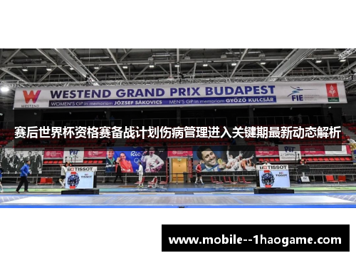 赛后世界杯资格赛备战计划伤病管理进入关键期最新动态解析