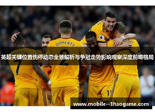 英超关键位置伤停动态全景解析与争冠走势影响观察深度前瞻格局