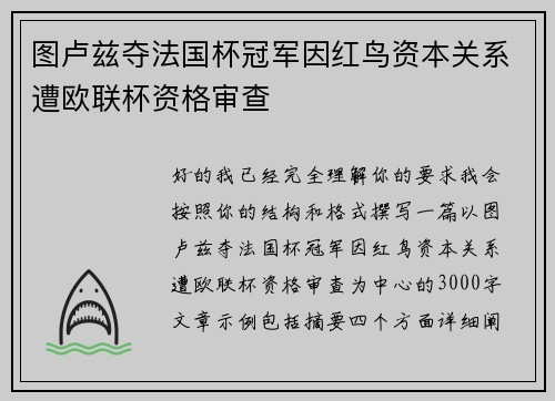 图卢兹夺法国杯冠军因红鸟资本关系遭欧联杯资格审查 图卢兹夺法国杯冠军因红鸟资本关系遭欧联杯资格审查