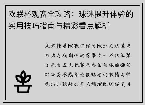 欧联杯观赛全攻略：球迷提升体验的实用技巧指南与精彩看点解析